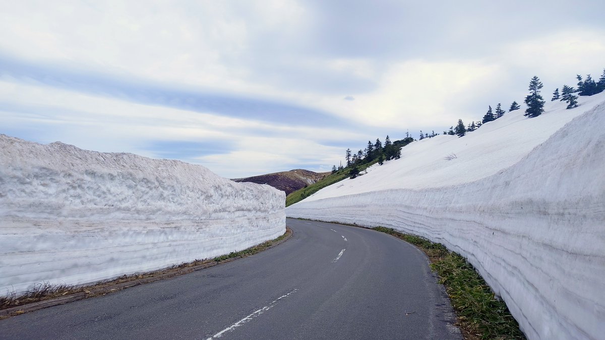samekaze's tweet photo. 今年も滋賀草津高原ルートの冬季通行止めが解除されたので雪の回廊を通るために初日から行ってきました
残念ながら草津からは火山の影響で直接これないんですけどね
失念してて一回草津まで登って行ってしまったのは秘密😆
＃三菱自動車で行こう
＃エクリプスクロス https://t.co/BLFEWbSOvH
