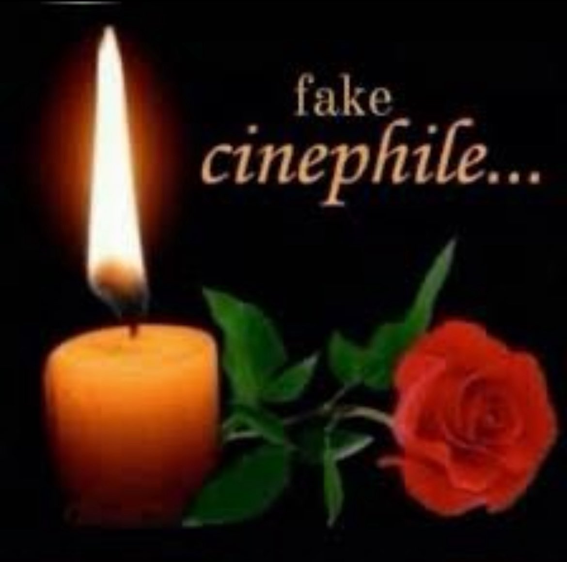 tasia ɞ ·˚ ✧ tweet media