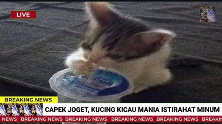 SEND MFS BACA LINK YA GES!! tweet media