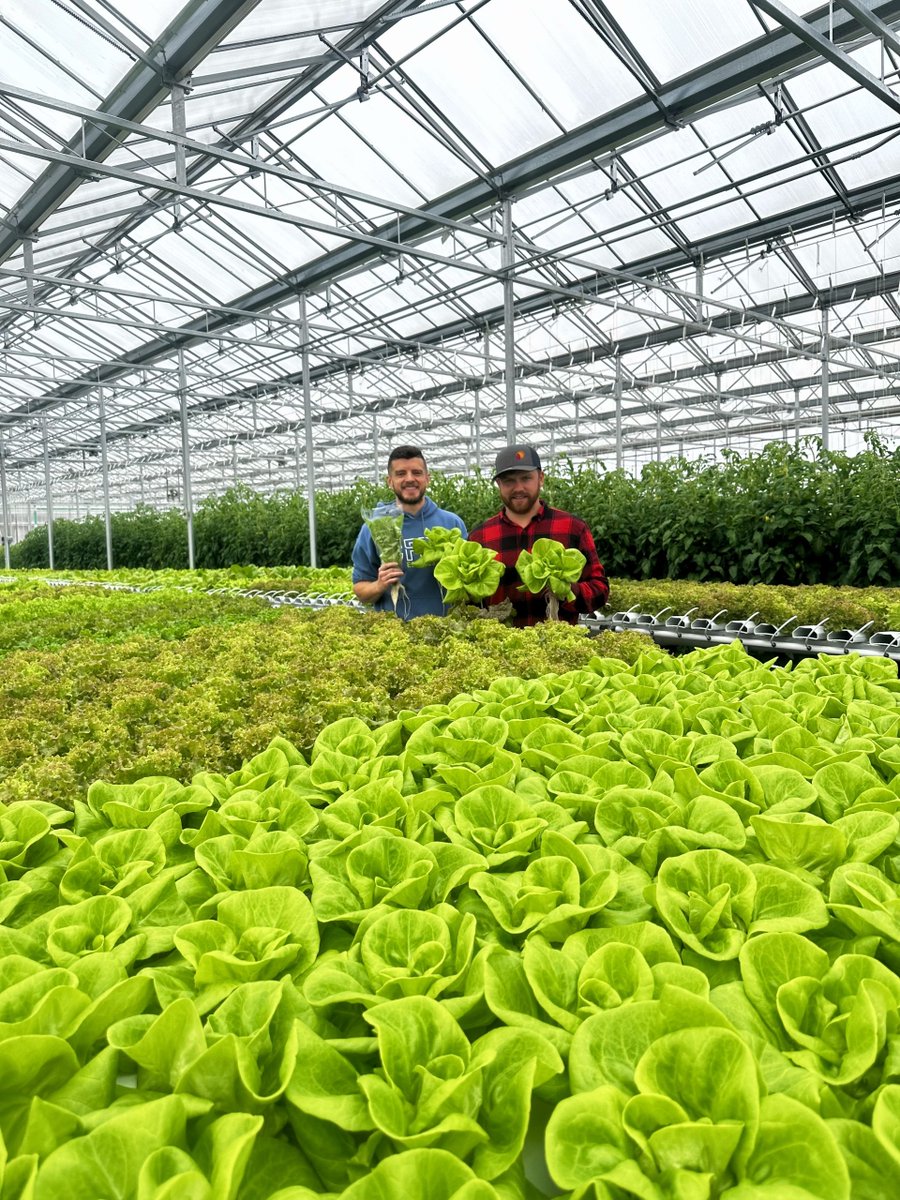 Gr8BosFoodBank's tweet image. #DYK we buy fresh fruits, vegetables, seafood, and more from local farmers and vendors in Massachusetts? This means we can support local businesses, provide top-quality fresh food to people in need—and reduce our carbon footprint by purchasing local. #EarthDay #BuyLocal