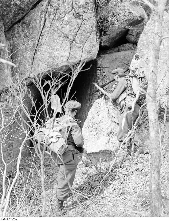 Canadian Army tweet media