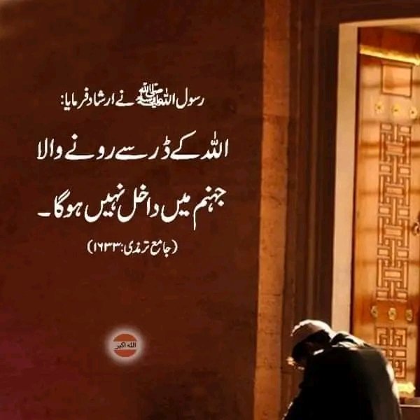 Sadia Rajpoot ⚡ (@__mns12) on Twitter photo 