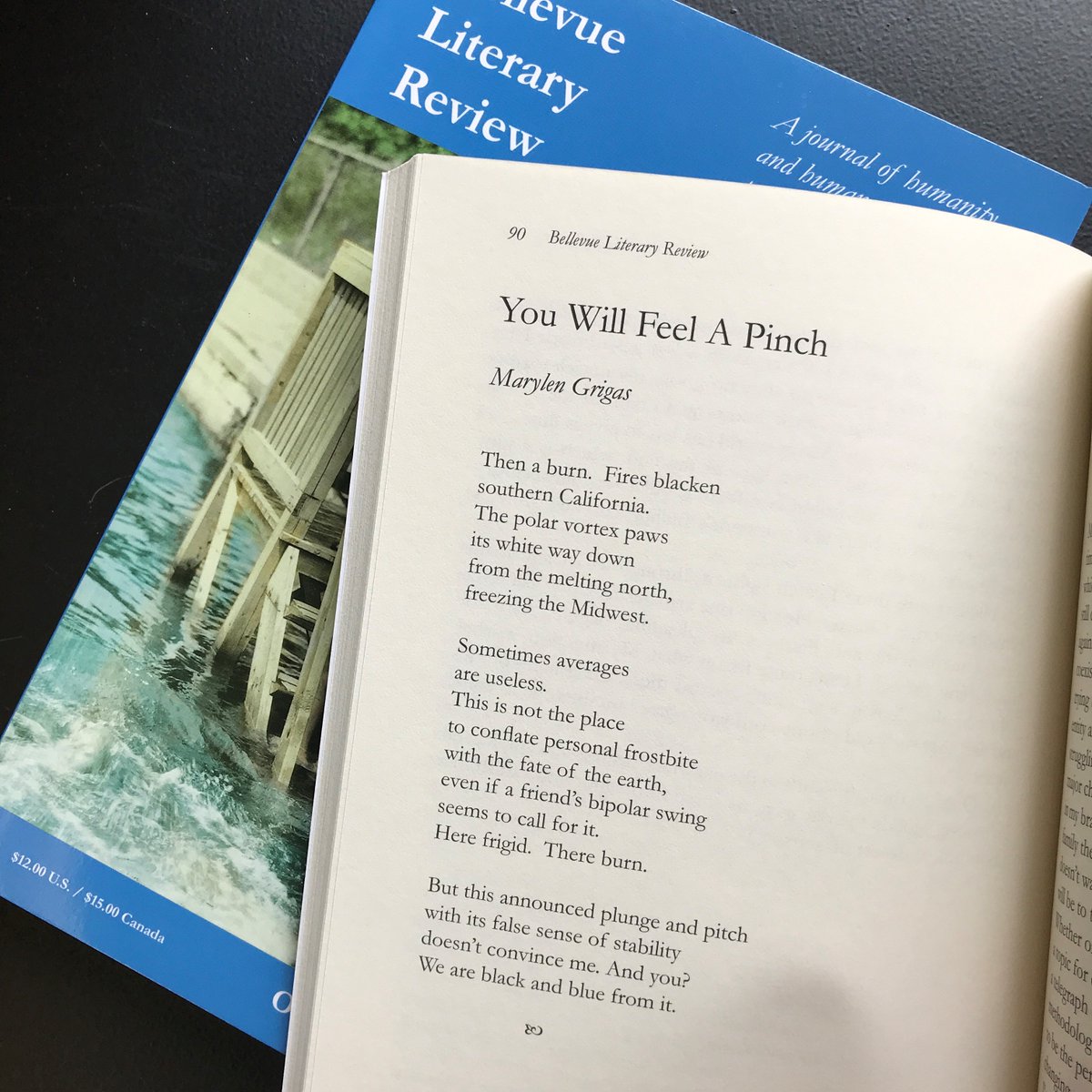 Bellevue Literary Review tweet media