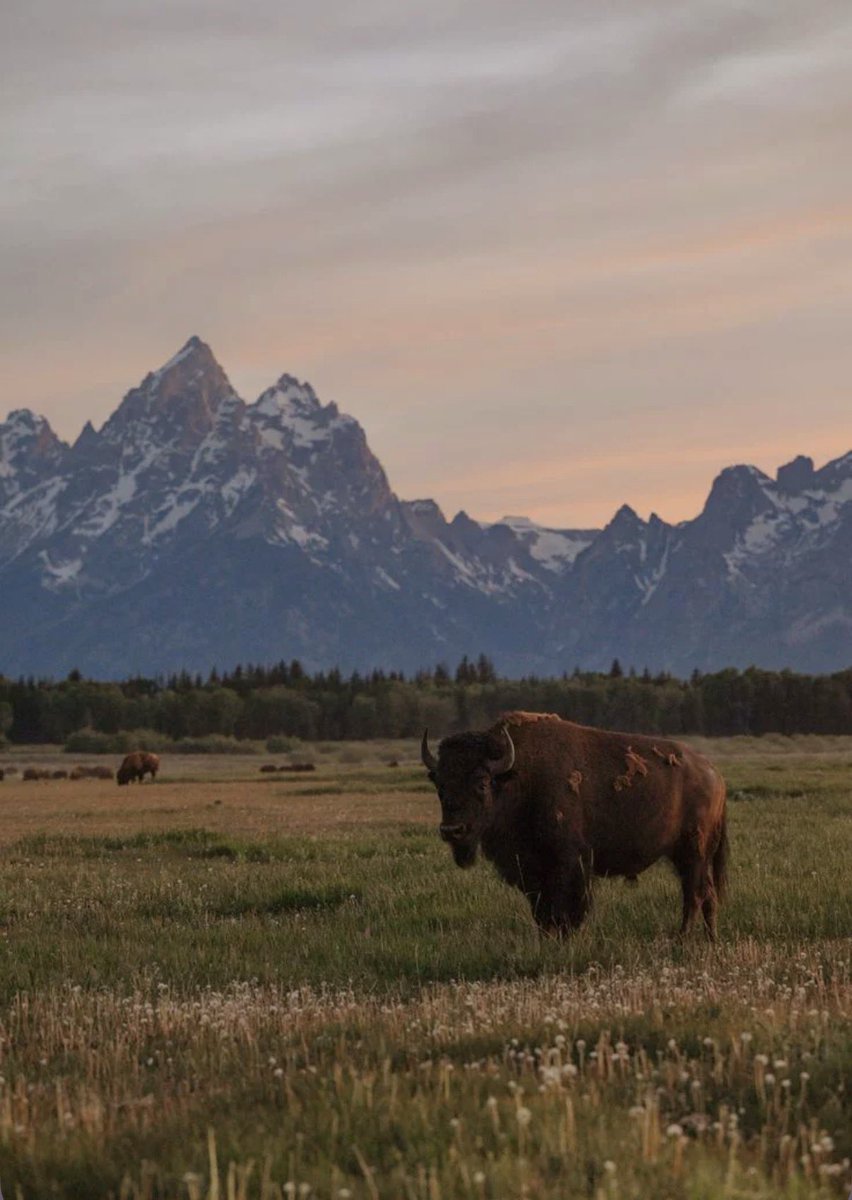 Danielle Franz tweet media