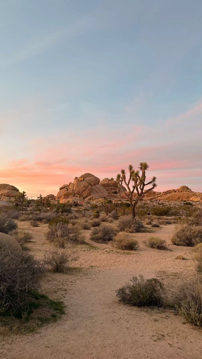 Danielle Franz tweet media