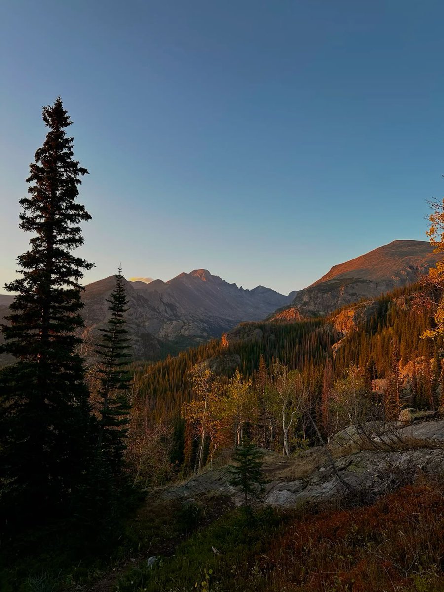 Danielle Franz tweet media