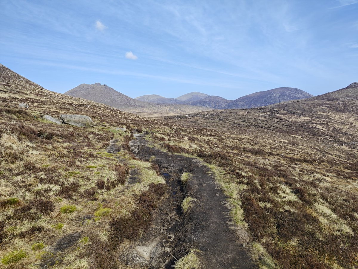 Pau Costa Foundation tweet media