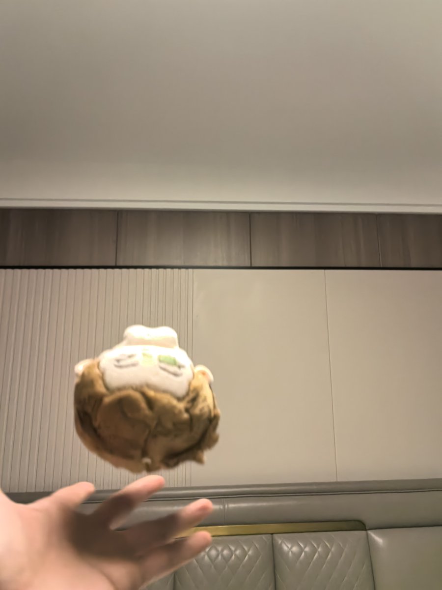 最后一步因为太懒了没有拍摄，现在补一下。
And Cas flew away…