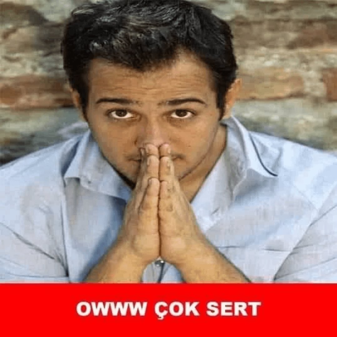 Almanbahçe🇩🇪 tweet media