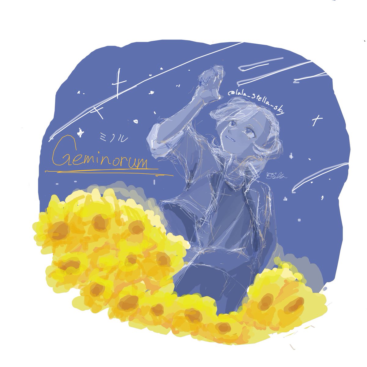 ほしぞらすてら🌟 tweet media