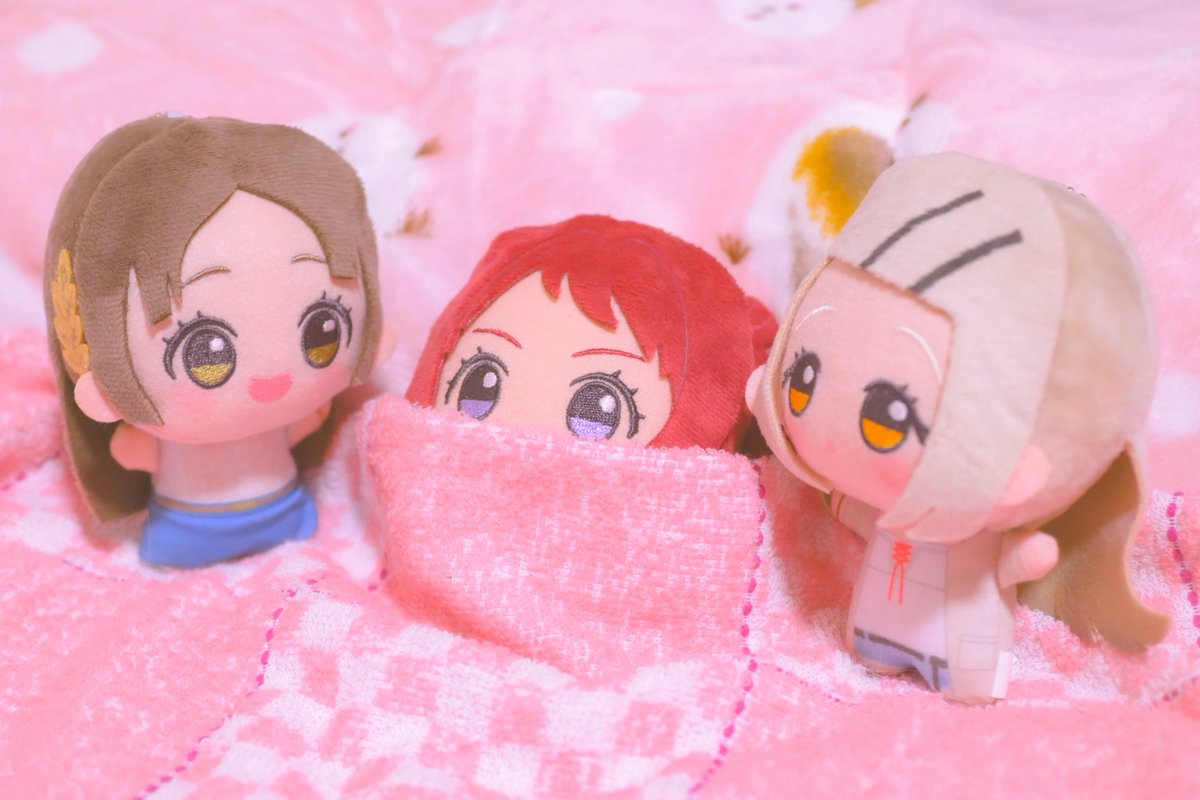 大葉しそ(ぬい活) tweet media