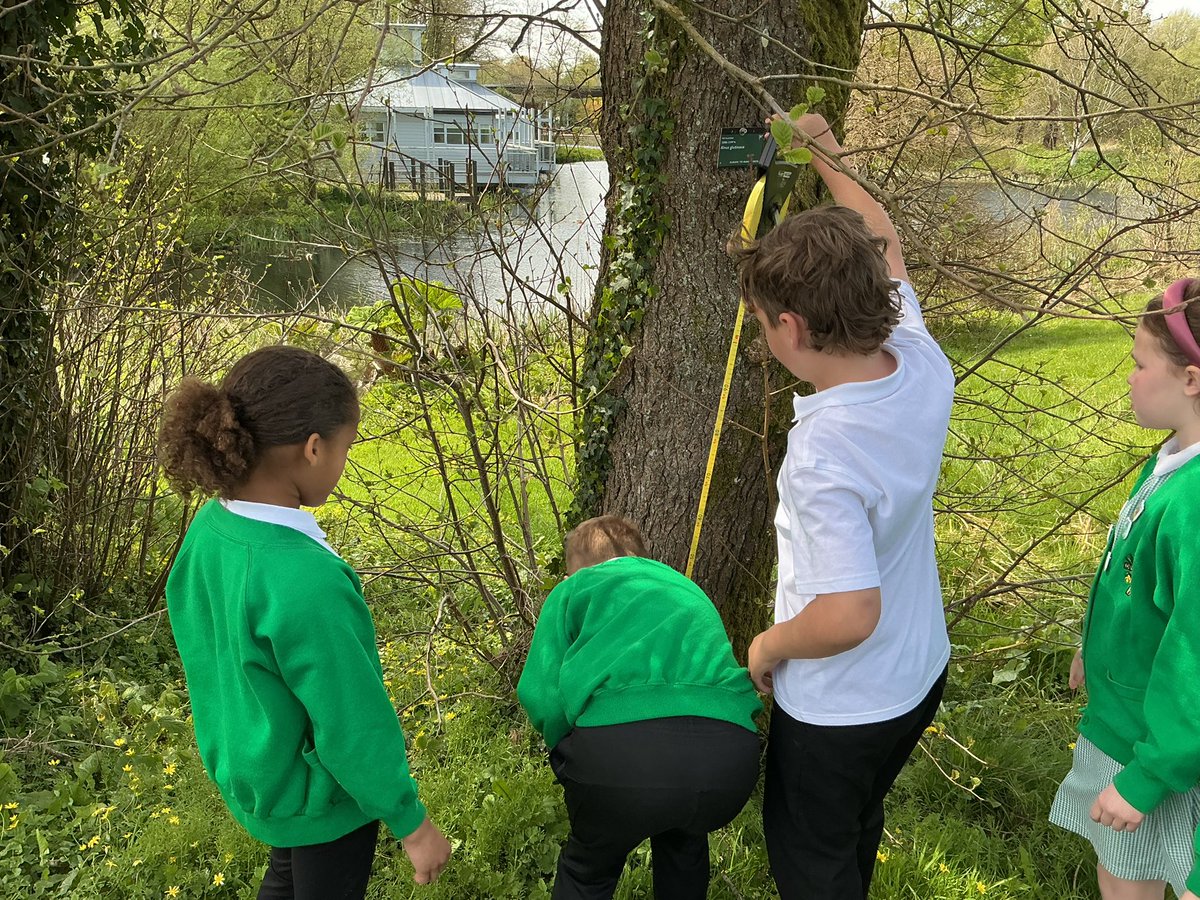 StDavidsCiWPrm's tweet photo. Dosbarth Severn (Y4) took part in a workshop where we learned about our Carbon Footprint, and measured how old the trees were! We also calculated how much carbon they can carry and hold! 🌲🌳 #stdavidsciwSevern #stdavidsciwSTEM #stdavidsciwAmbitiousCapable https://t.co/AEvn5LEuy6