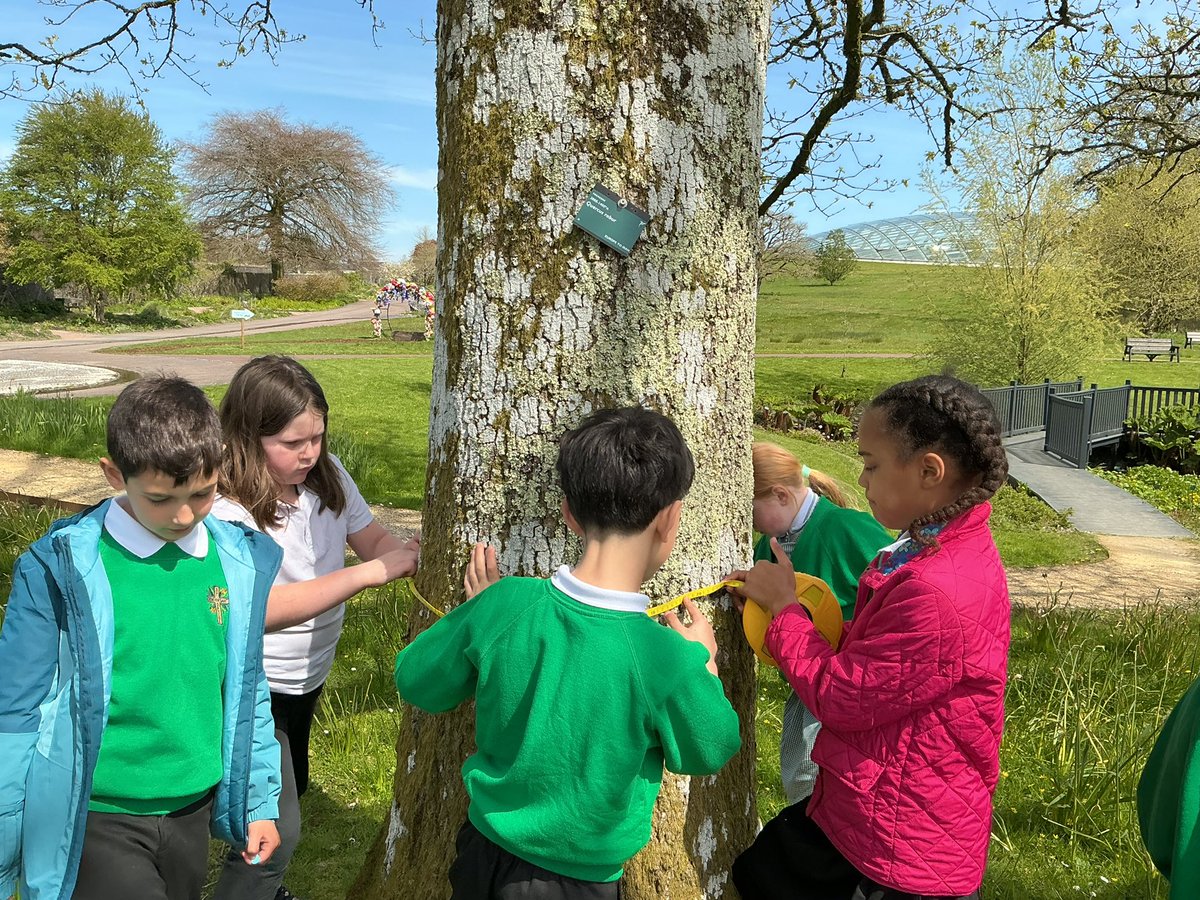 StDavidsCiWPrm's tweet photo. Dosbarth Severn (Y4) took part in a workshop where we learned about our Carbon Footprint, and measured how old the trees were! We also calculated how much carbon they can carry and hold! 🌲🌳 #stdavidsciwSevern #stdavidsciwSTEM #stdavidsciwAmbitiousCapable https://t.co/AEvn5LEuy6