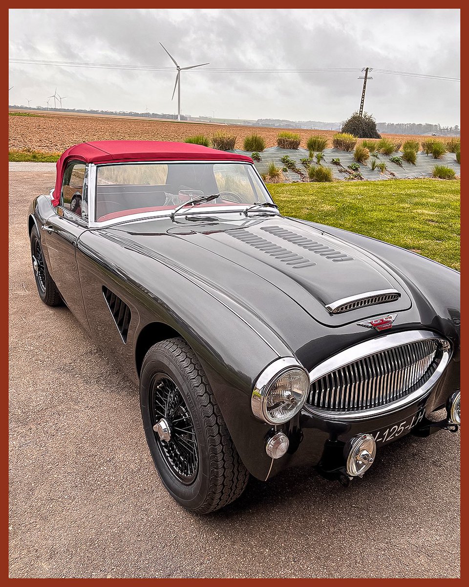 AHSparesLtd's tweet image. A Healey brought back to life.

Gilles Magot in France has completed the refurbishment of his Austin Healey 3000 MK3 BJ8. A superb result.

Working on your own? Share your restoration journey: visit.ahspares.co.uk/x-180226

#AustinHealey #ClassicCars #Restoration