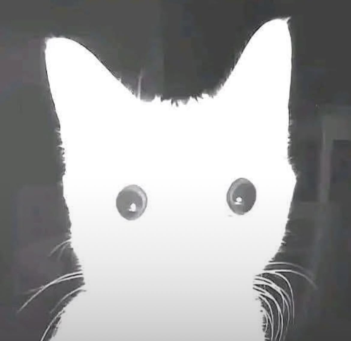 nini - MIXTAPE2ISCOMING tweet media