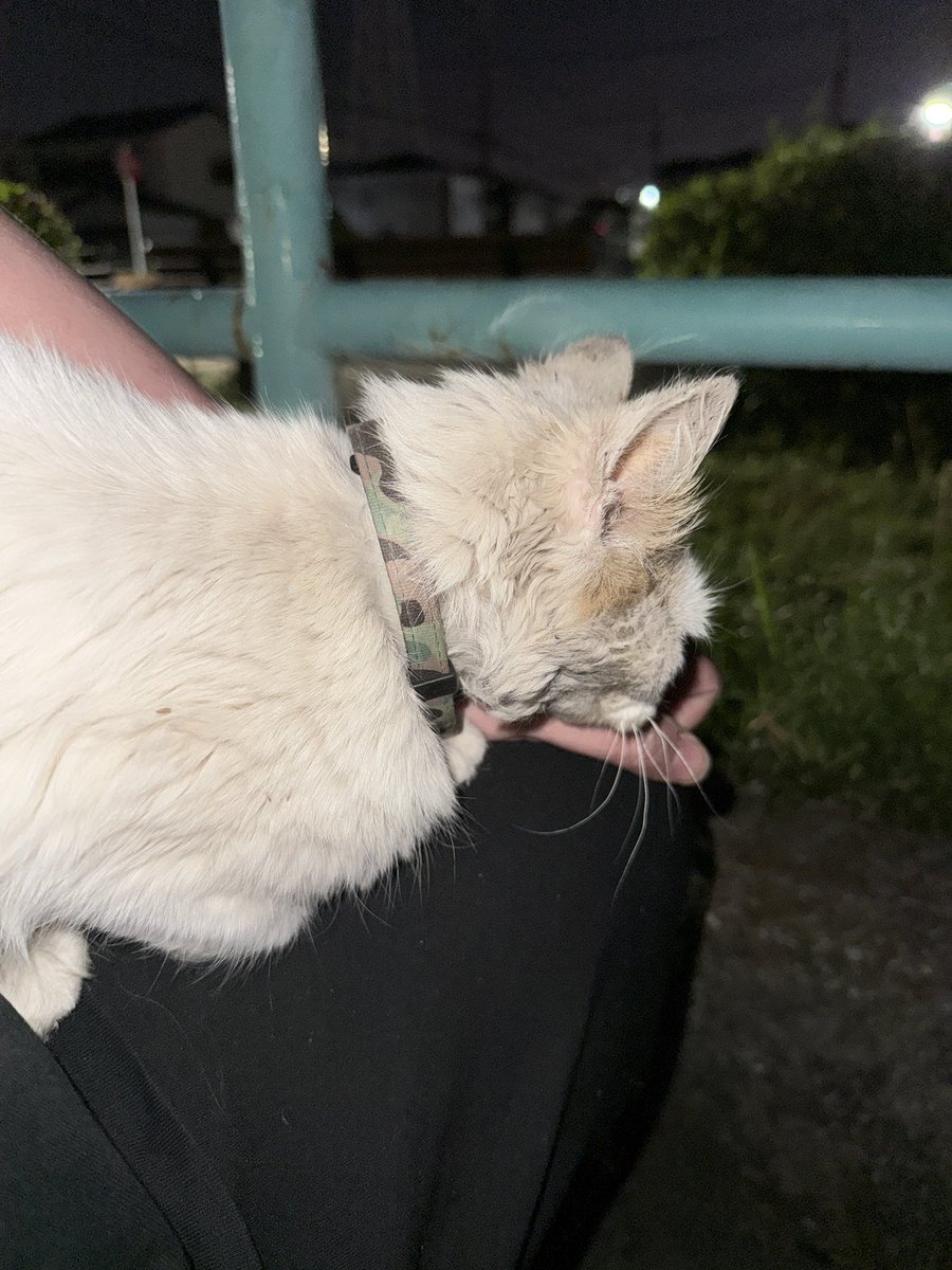 YM@マツG tweet media