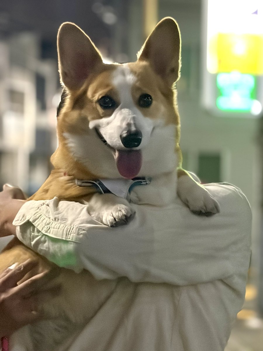 ひめ🐾2KD tweet media