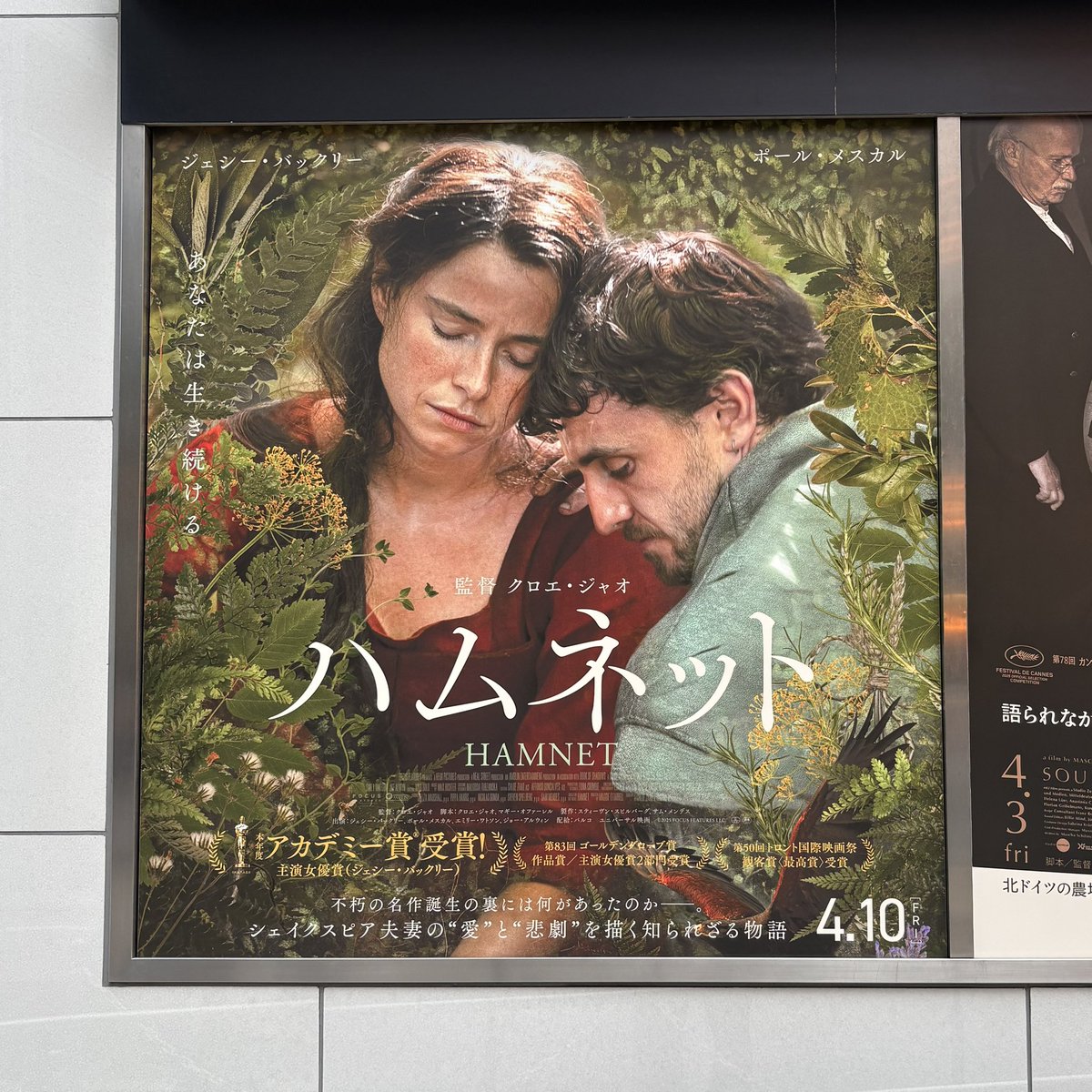 佐々木ミツヒロ tweet media