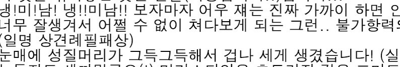 현배 박 tweet media