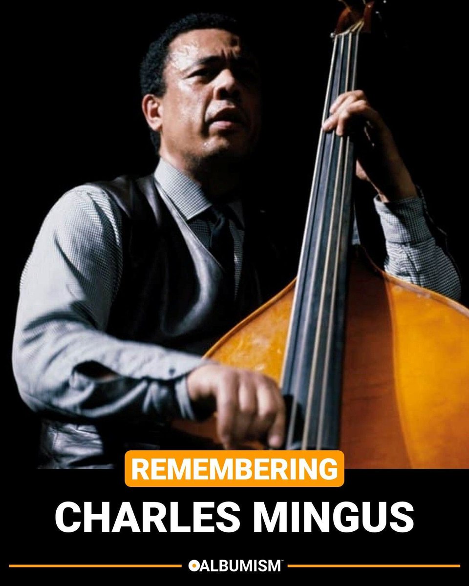 ALBUMISM tweet media