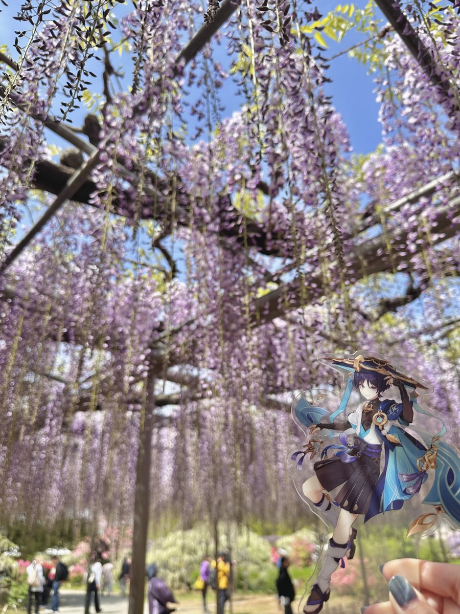 塩野 tweet media