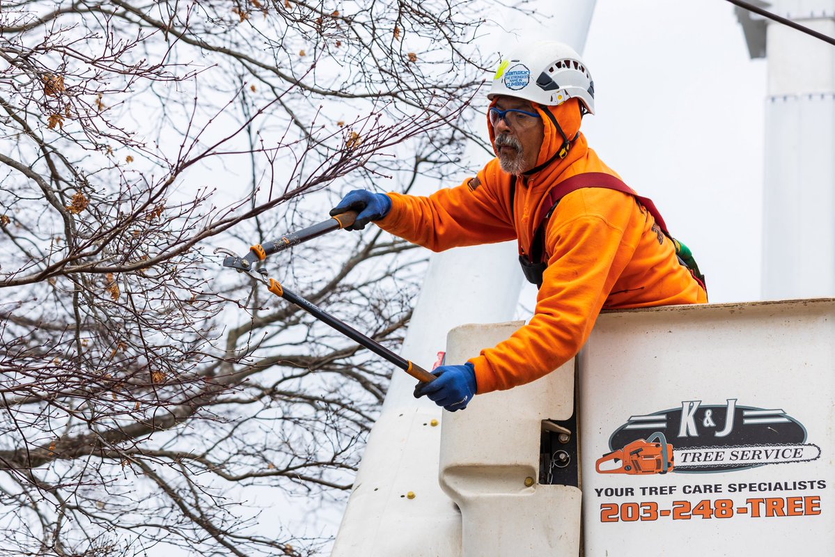 KJTreeService's tweet image. Earth Day, every day 🌎 Caring for your trees means caring for our communities — one canopy at a time.
-
-
-
#treeremoval #treework #treeservice #arboristlife #connecticut