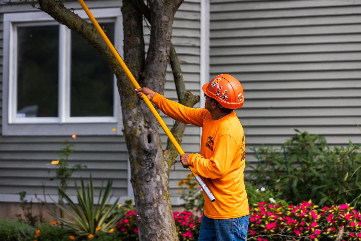 KJTreeService's tweet image. Earth Day, every day 🌎 Caring for your trees means caring for our communities — one canopy at a time.
-
-
-
#treeremoval #treework #treeservice #arboristlife #connecticut