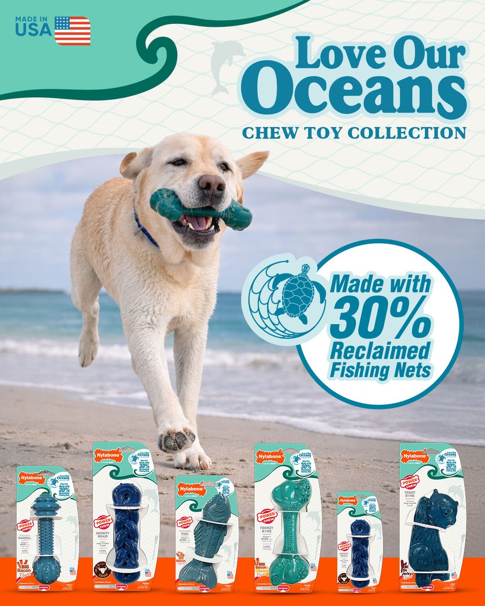 Nylabone Products tweet media