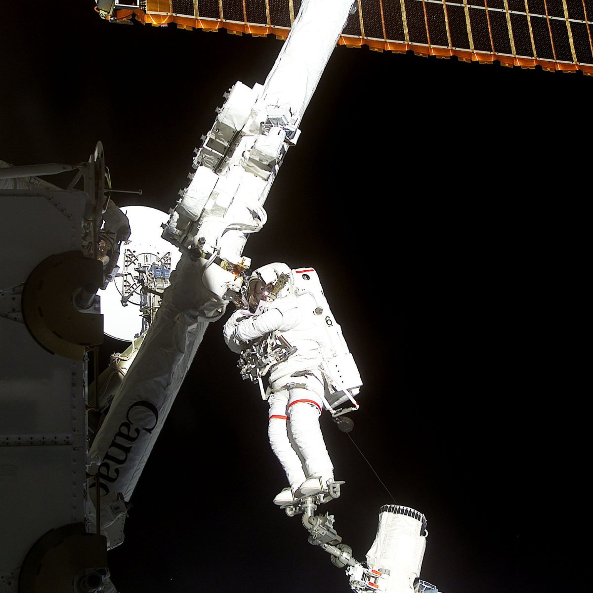 25 years ago, Canadian Space Agency astronaut Chris Hadfield became the first Canadian to perform a spacewalk. He helped install the Canadarm2 on the <a href="/Space_Station/">International Space Station</a>.

Today, we celebrate this historic moment for Canada’s space sector.

📷: NASA