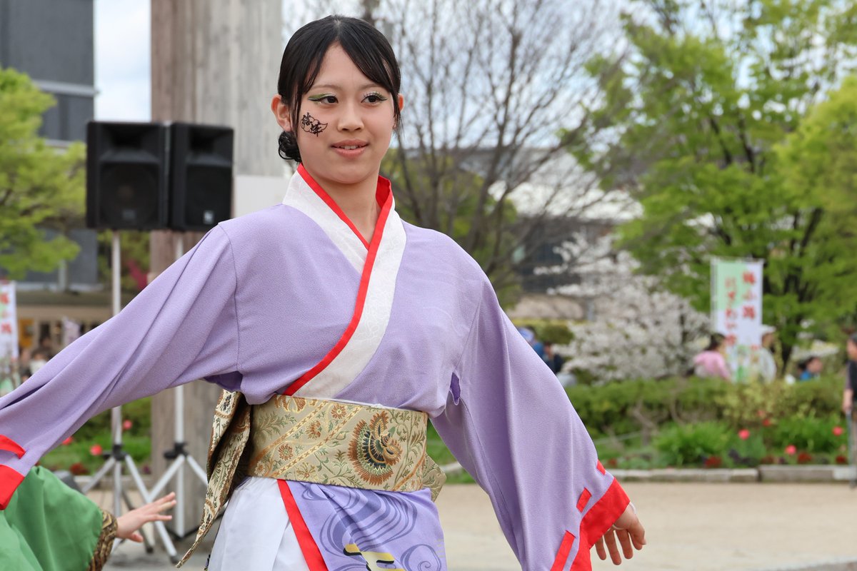 mk402003's tweet image. 京都さくらよさこい2026　梅小路会場　２日目　京炎そでふれ！Tacchi　さん　の写真です。（２／５）

#京炎そでふれTacchi
#Tacchi
#京都さくらよさこい2026
#さくらよさこい