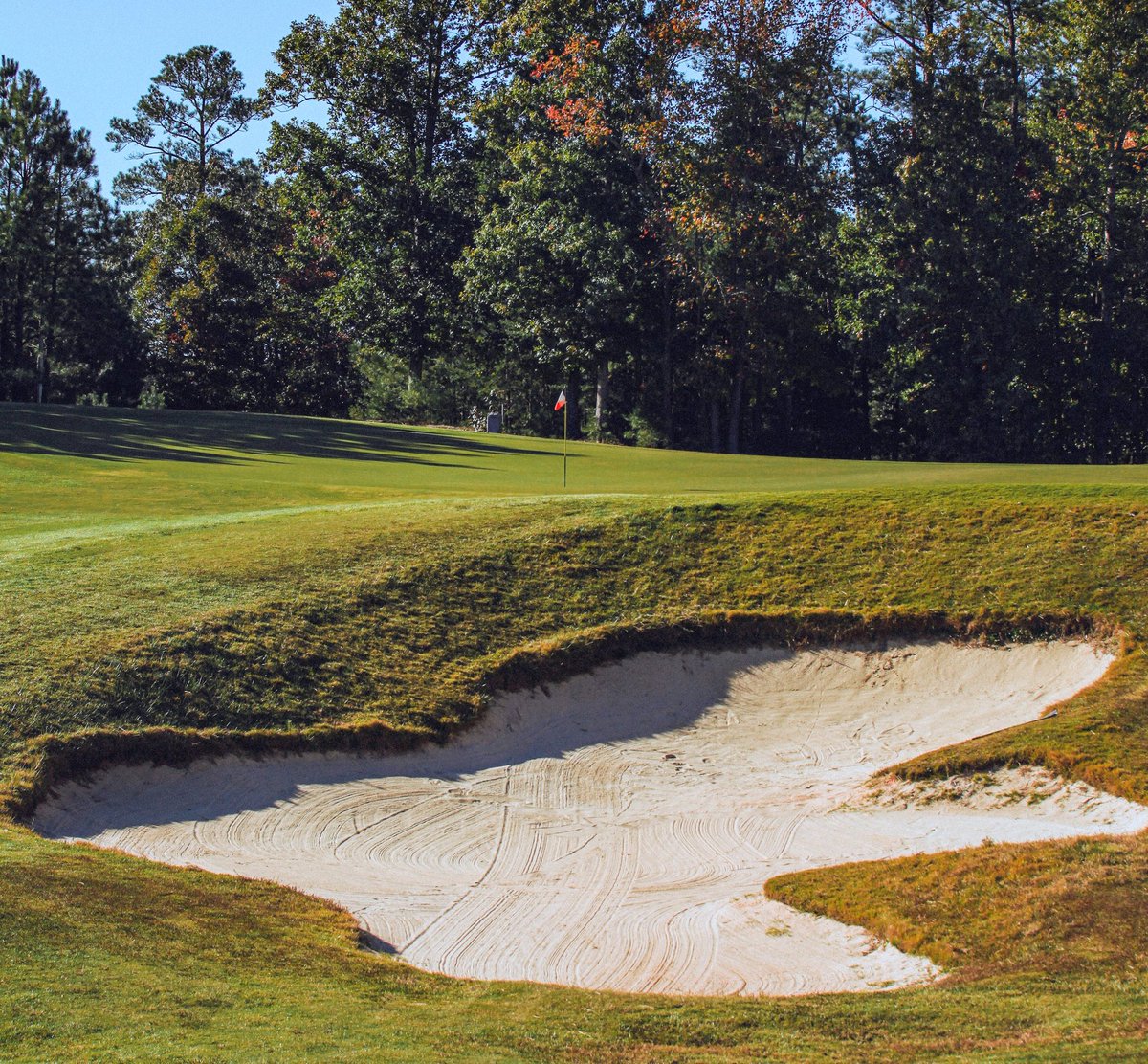 Royal New Kent Golf Club tweet media