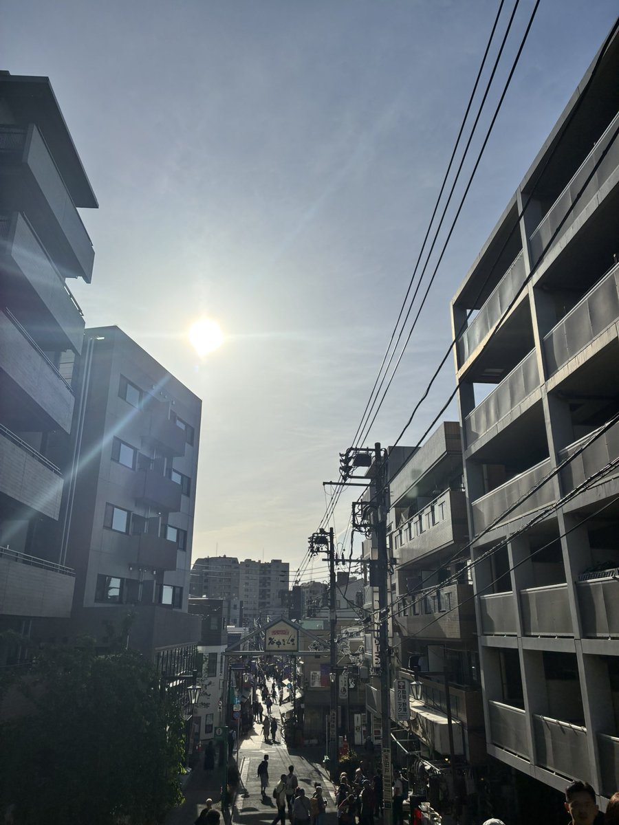 まーぬん tweet media