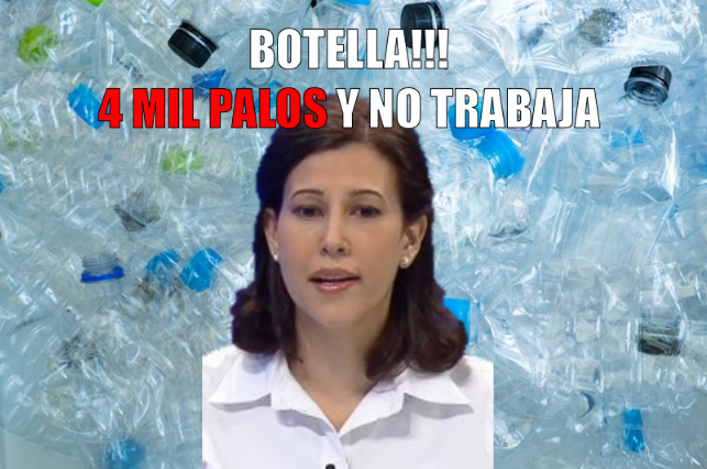 El Loro De Panamá Es Verde tweet media