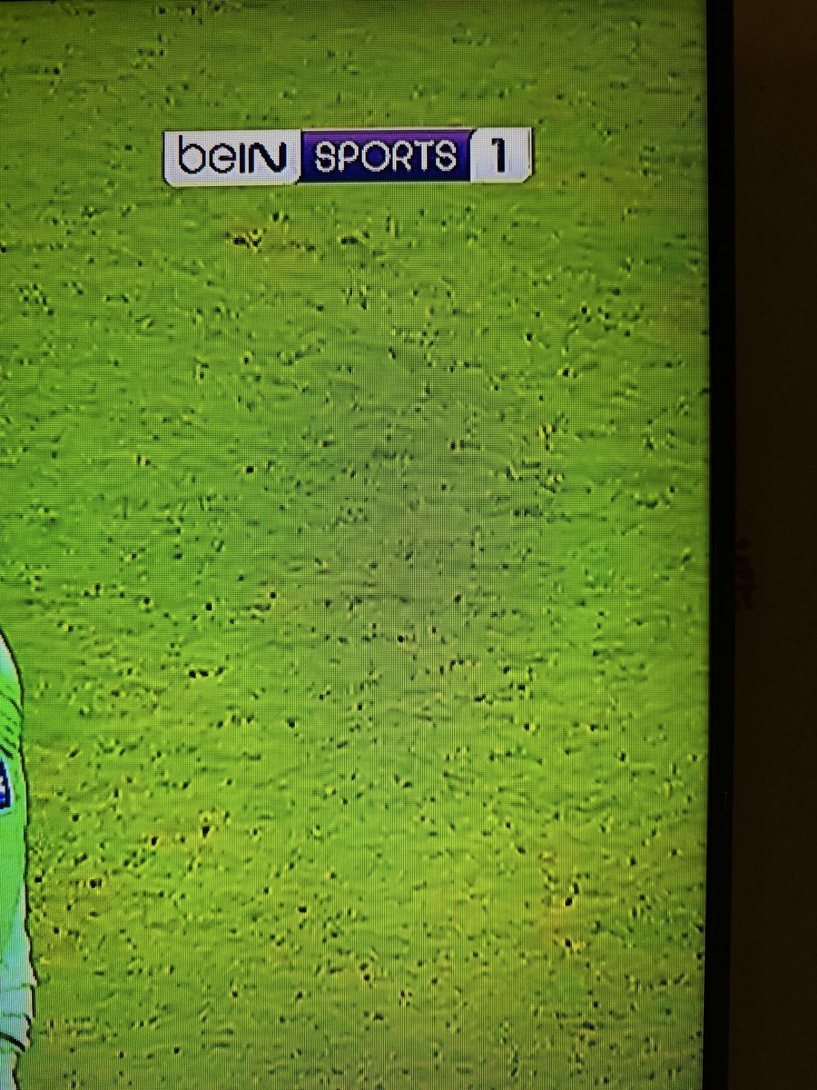 الشامسي tweet media