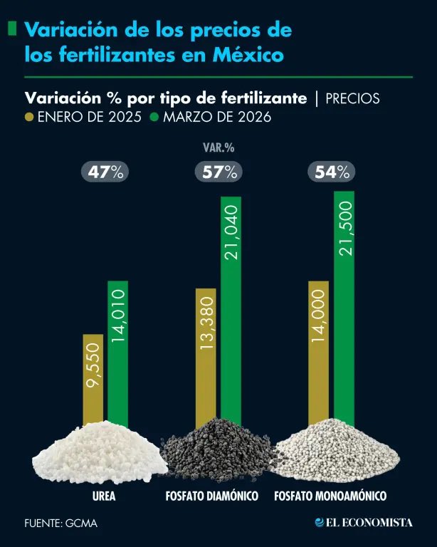 Mario Di Costanzo tweet media