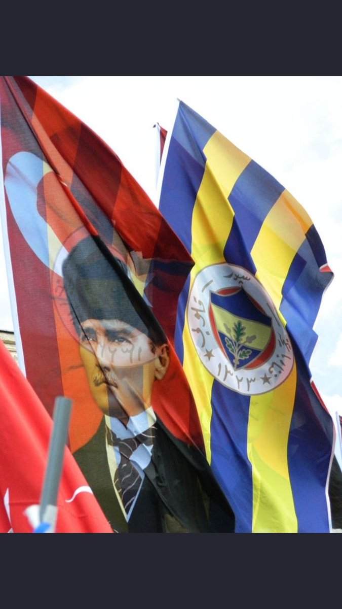 sayer TC vatandaşı 🌳🌲🌳🌲 tweet media