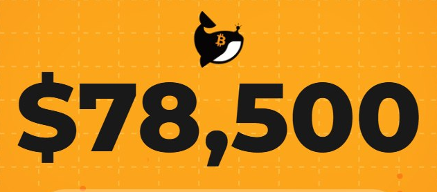 عمر كريبتو - Omar Crypto tweet media