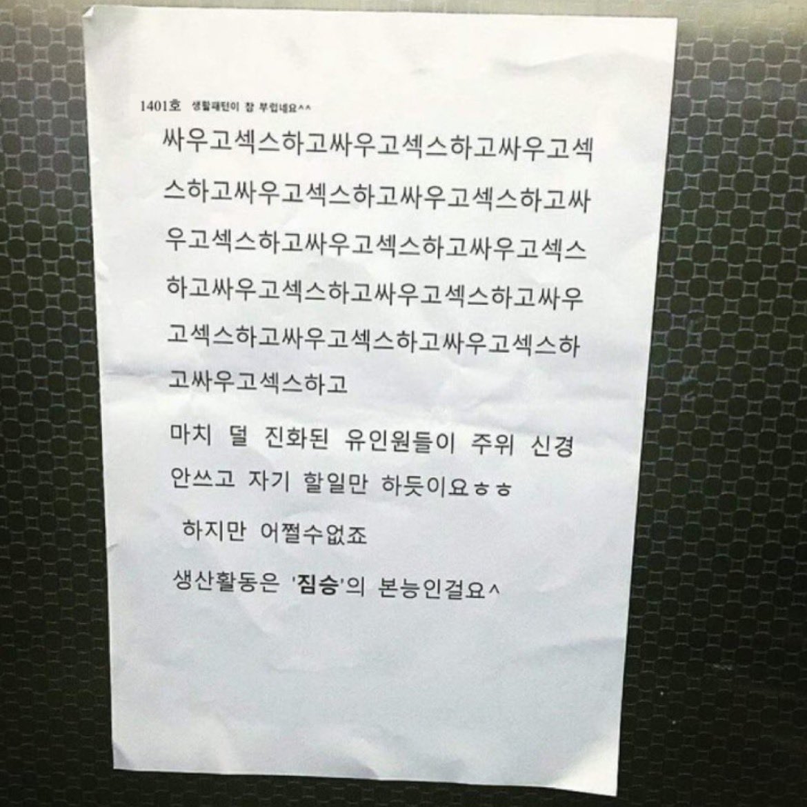 츤미현 tweet media