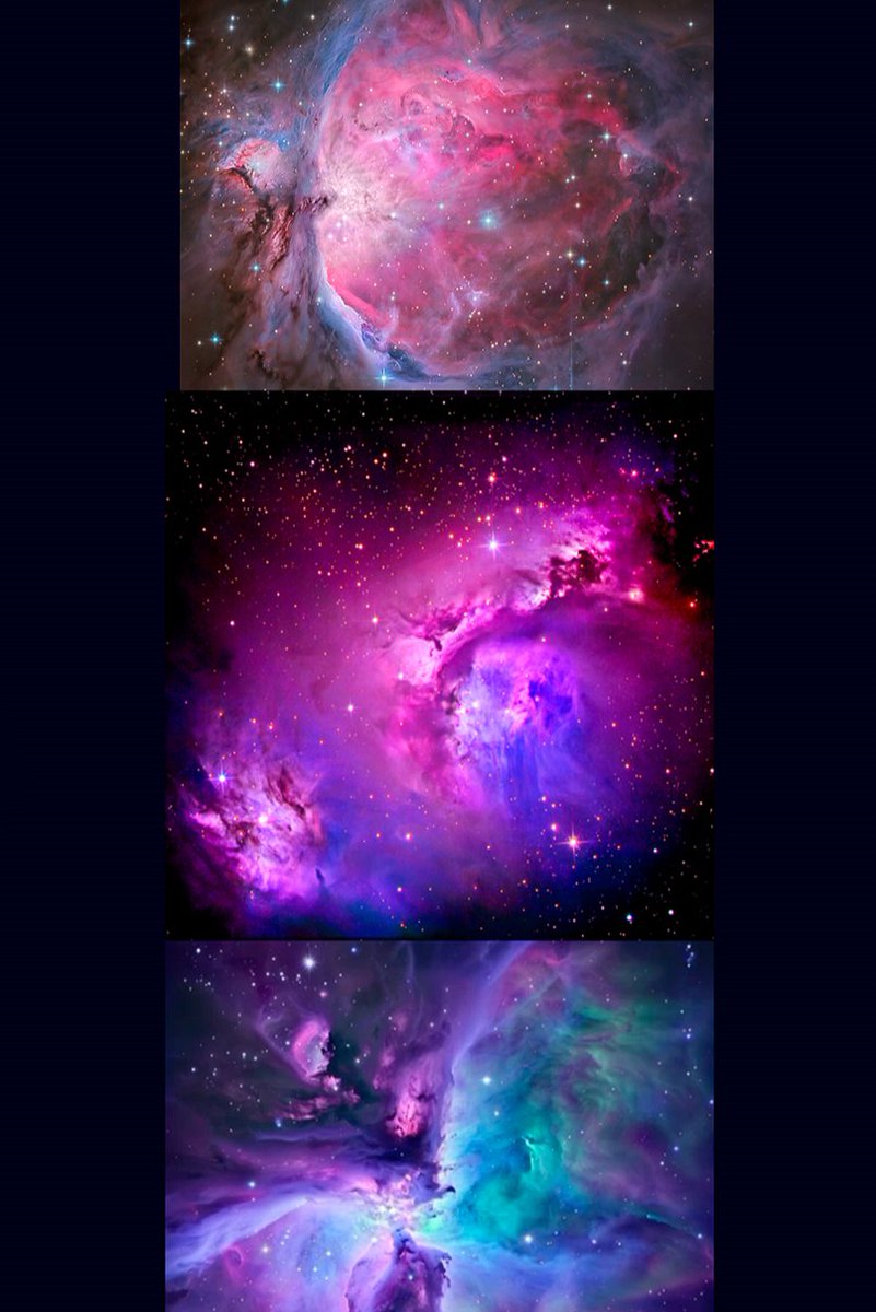 Floverale-Hellewen 🌺 tweet media