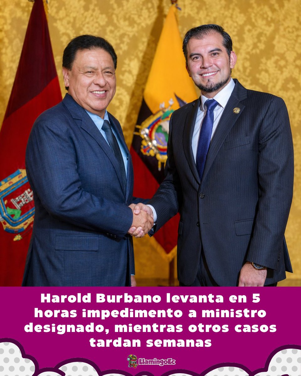 Llamingo.Ec tweet media