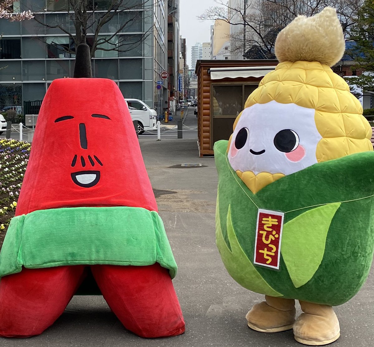 テレビ父さん tweet media