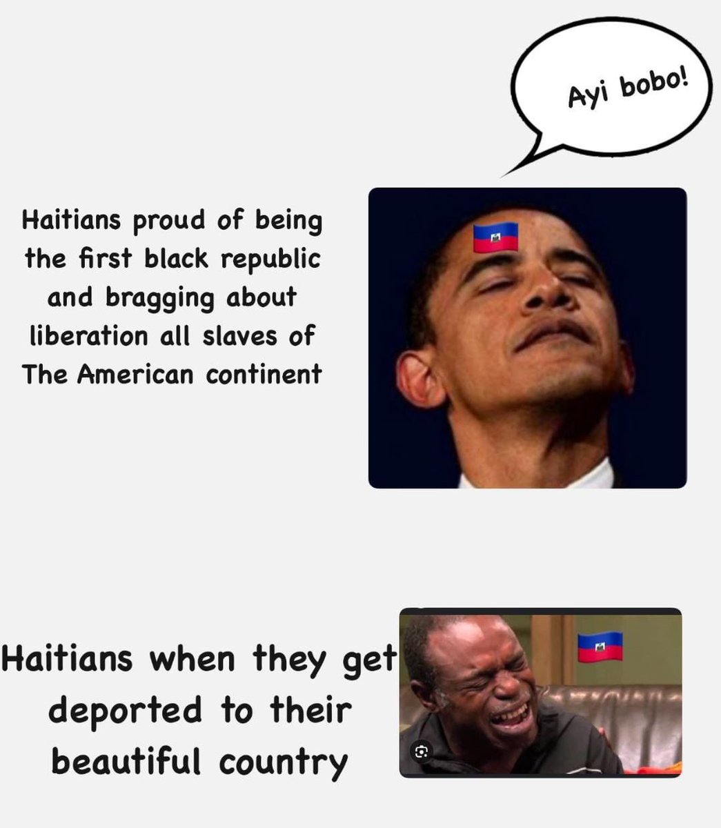 Francisco D Lion tweet media