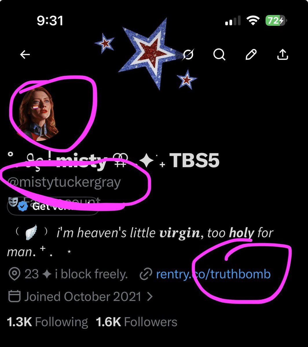 ˚. 𝜗𝜚 ᵎ misty ⚢ .✦ ݁˖ TBS5 tweet media