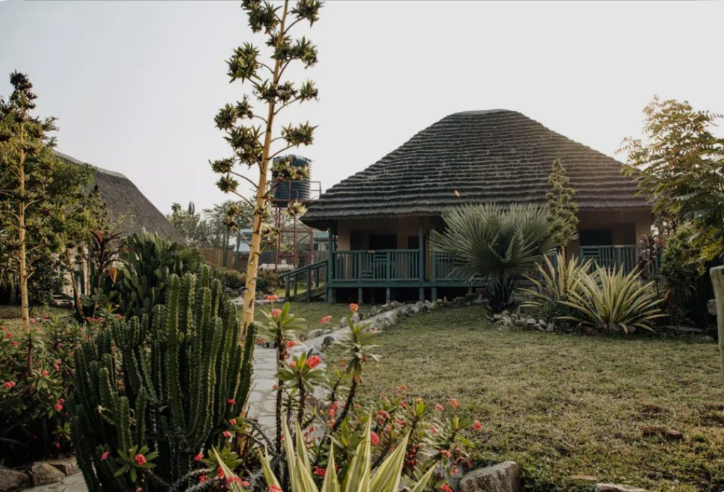 kukirizajoshua5's tweet photo. Escape to Tilenga Safari Lodge โ where comfort meets the wild.
Wake up to breathtaking views, unwind in serene luxury, and experience nature like never before.
#TilengaSafariLodge #ExploreUganda #LuxuryInTheWild #GoldenPosts https://t.co/p1lj220WYM