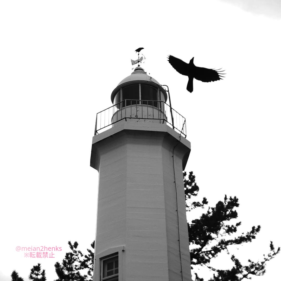meian2henks's tweet image. カラス🐦‍⬛灯台
#pentax #tamron