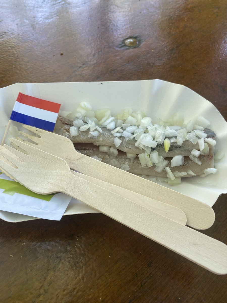 Seashel1919's tweet image. Who knows? #dutch #carnivore