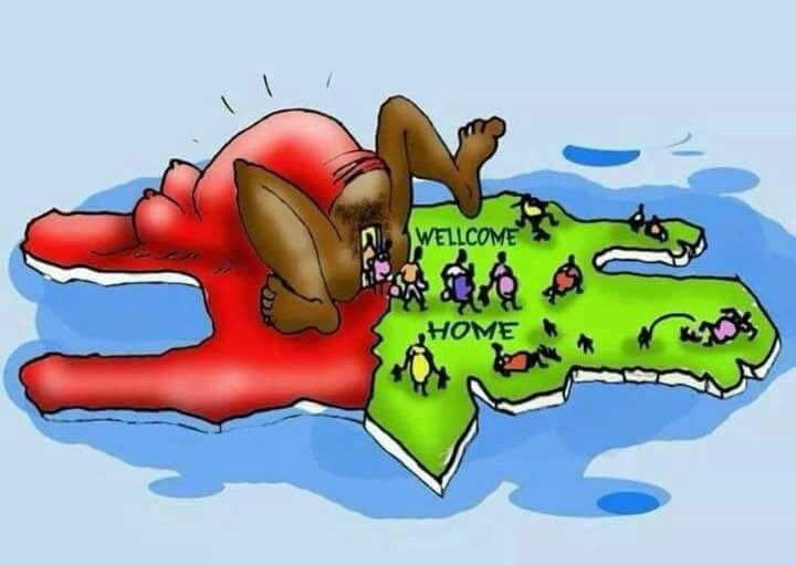 Francisco D Lion tweet media