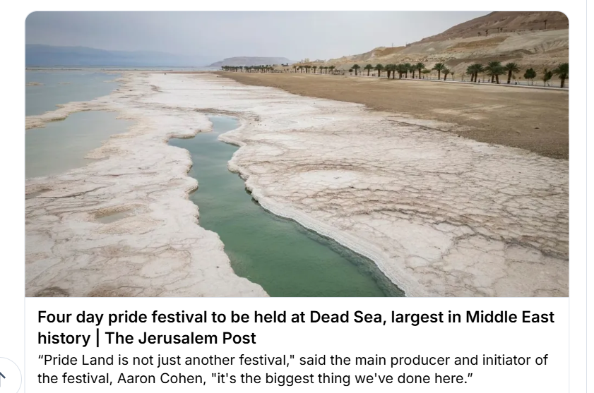 georg_heinrich1's tweet image. Wird die queere Community heuer ans Tote Meer fahren oder doch lieber nach Gaza und dort "Palestina" befreien? 
#queer #gaza @Queer