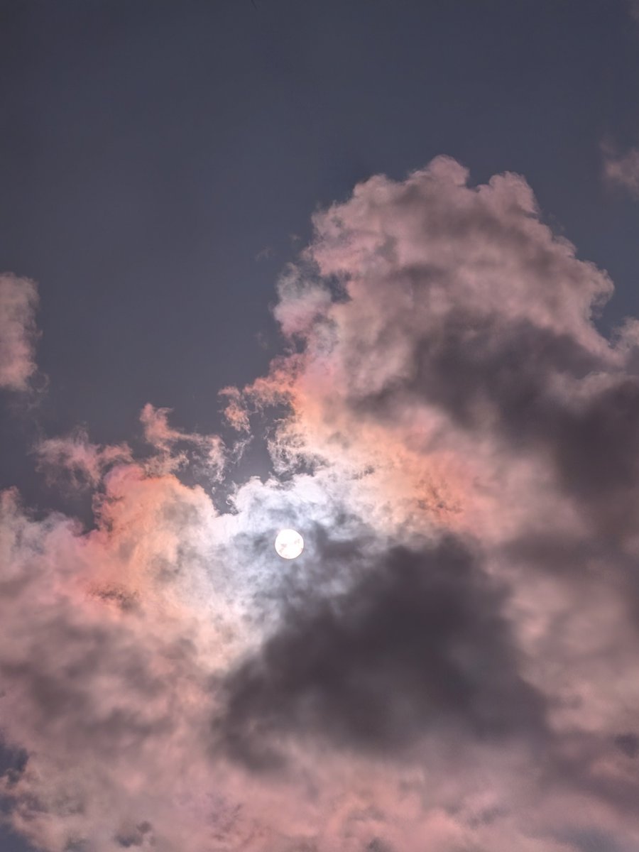 Bunis_Malli's tweet image. Pixel 10 
5X Zoom Only 
@madebygoogle #pixel10