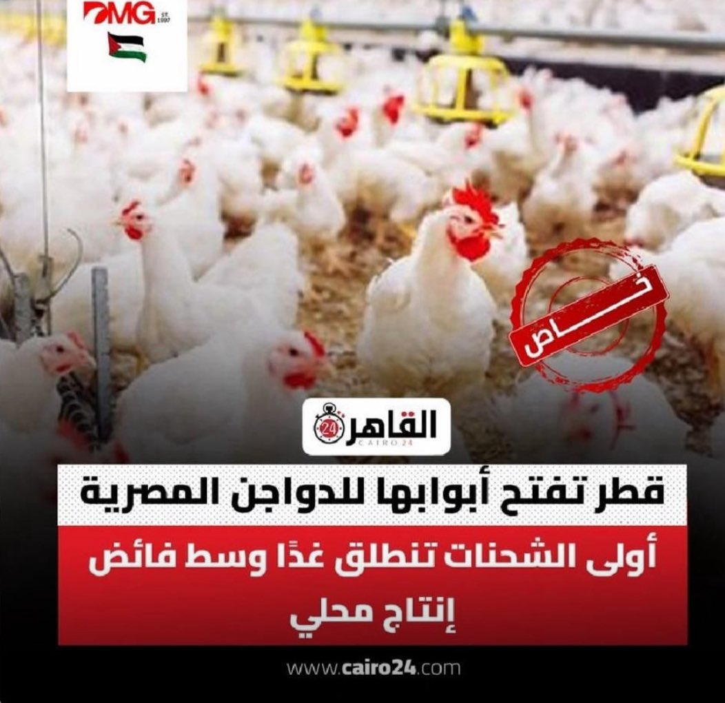محمد السويدي tweet media